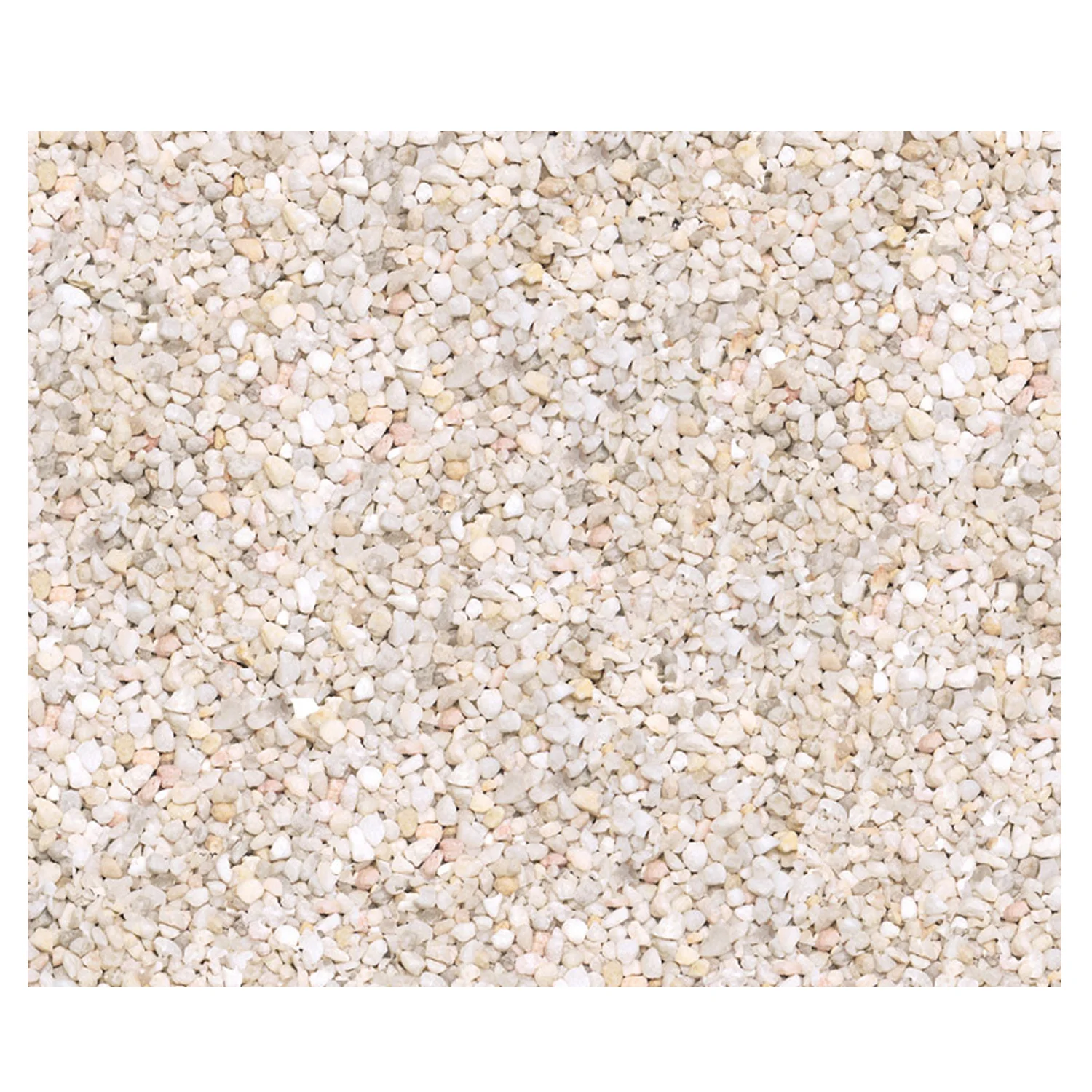 GRAVA CAROLINA 5,5 LBS