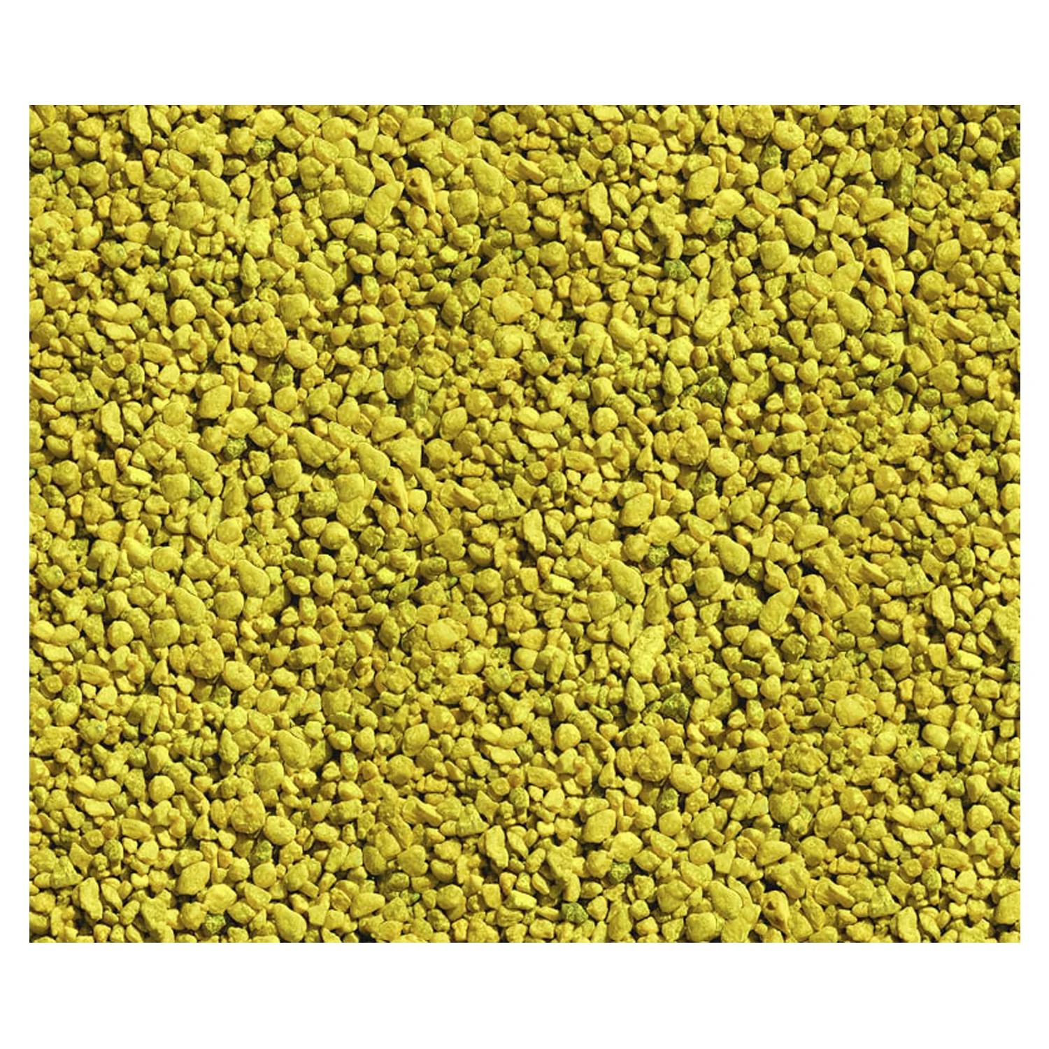 GRAVA DAFFODIL 5,5 LBS