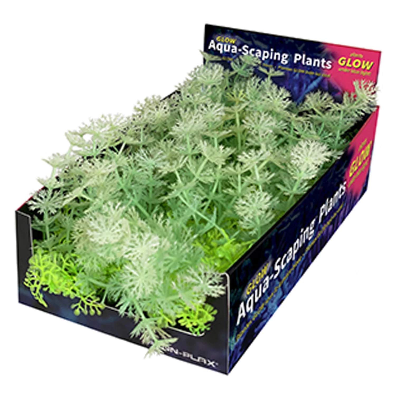 DISPLAY MEDIUM GREEN GLOW PLANT 5 UDS