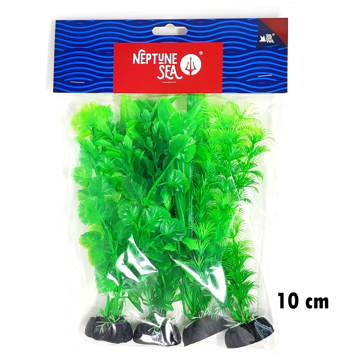 PLANTA SURTIDA VERDE 4 UDS 10 CM