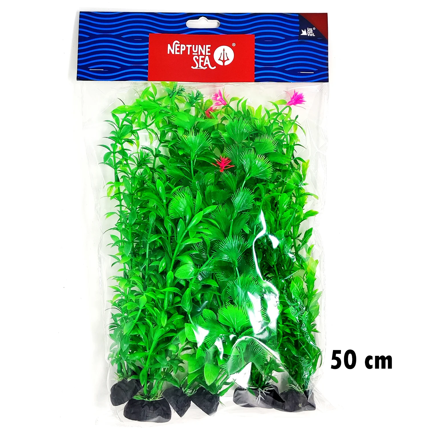PLANTA SURTIDA VERDE 6 UDS 50 CM