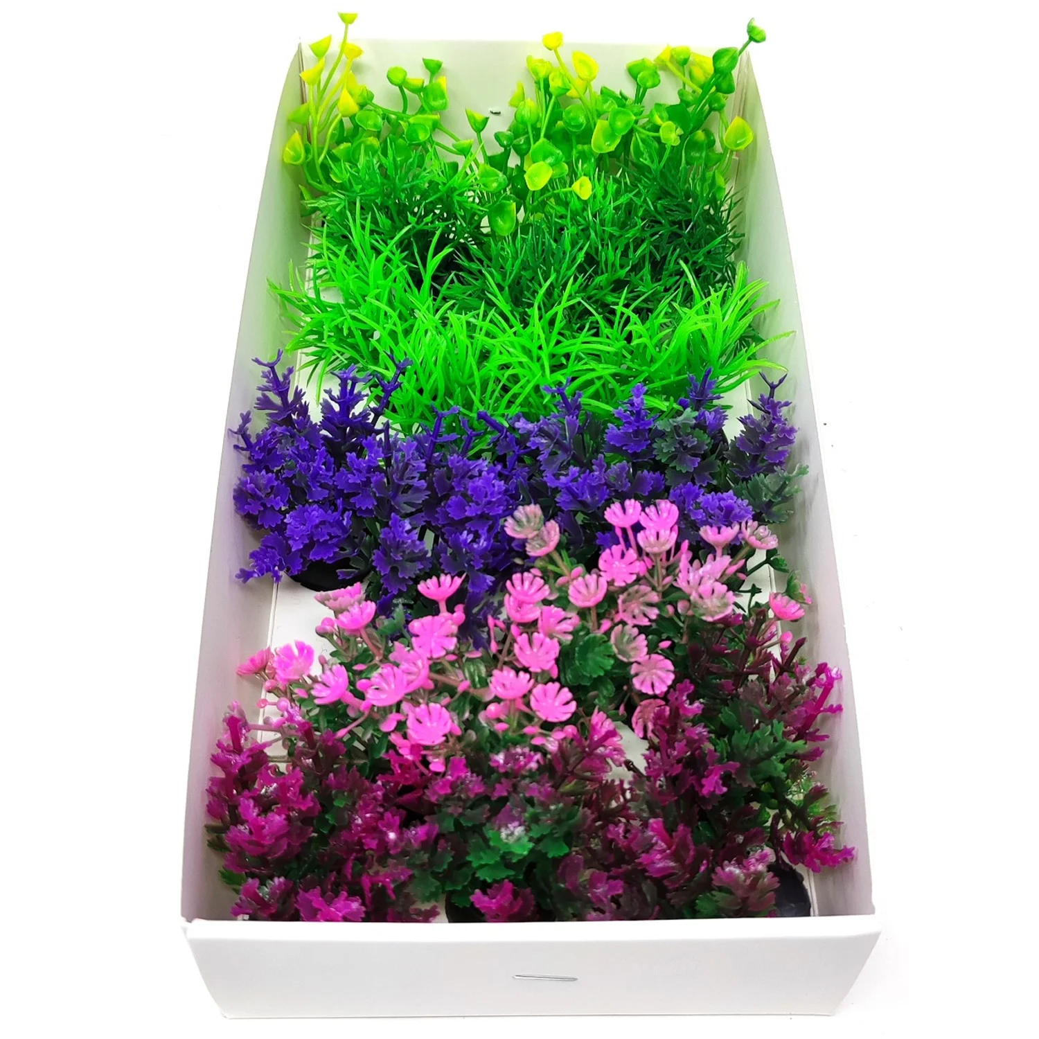 PLANTA PARA BETTA 24 UDS 5 CM