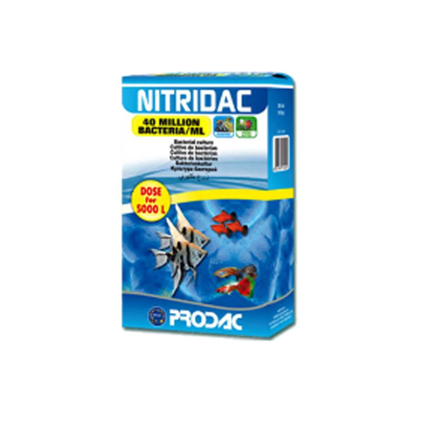 NITRIDAC 100ML