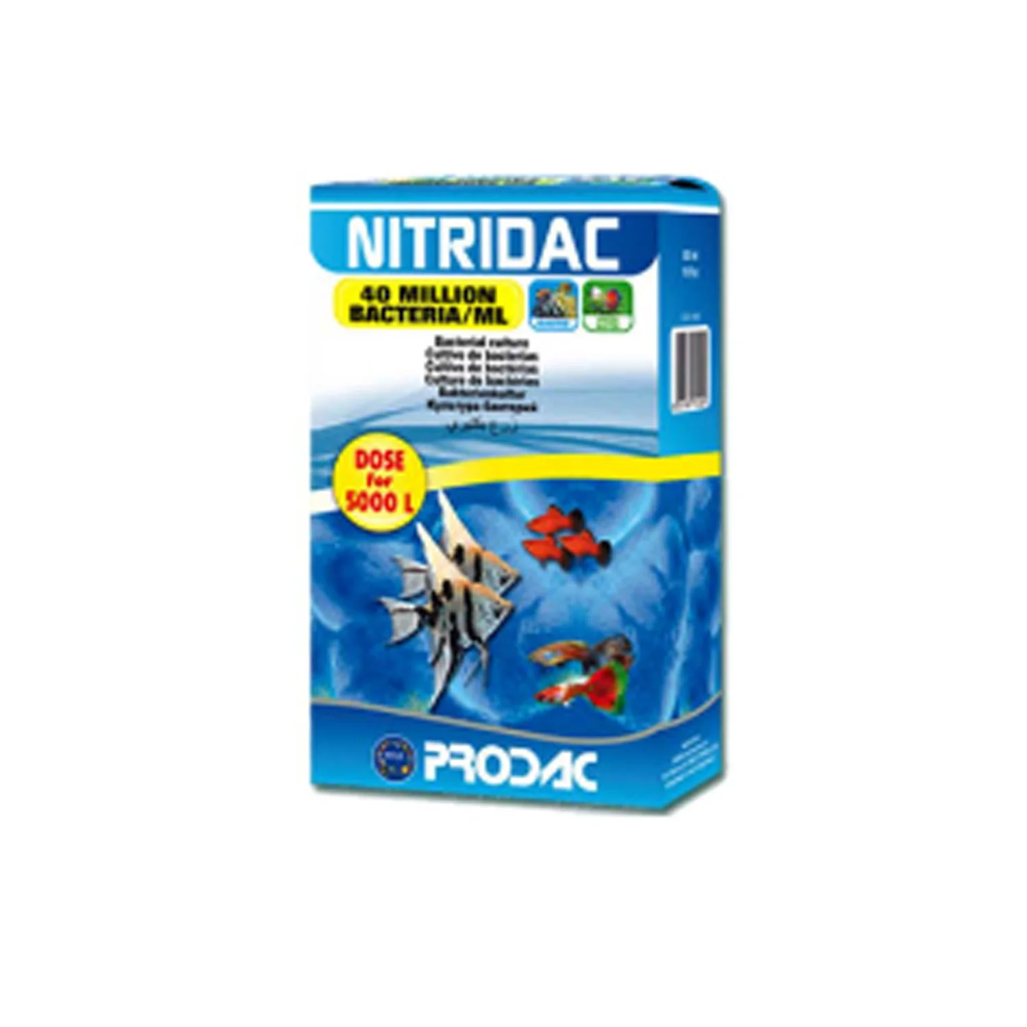 NITRIDAC 250ML