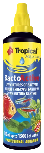 BACTO ACTIVE 100ML