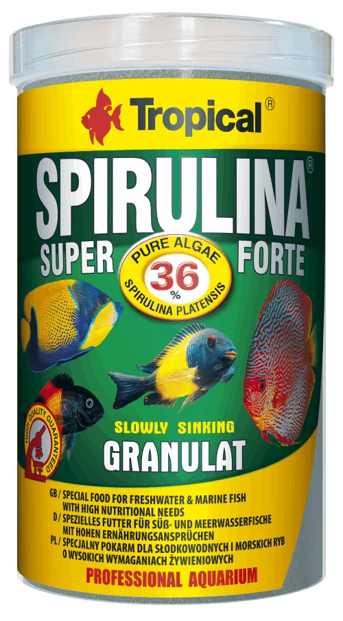 SUPER SPIRULINA FORTE GRANULAT 100ML/60G