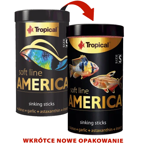 SOFT LINE AMERICA SIZE S 100ML/56G