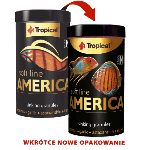 SOFT LINE AMERICA SIZE M 100ML/60G