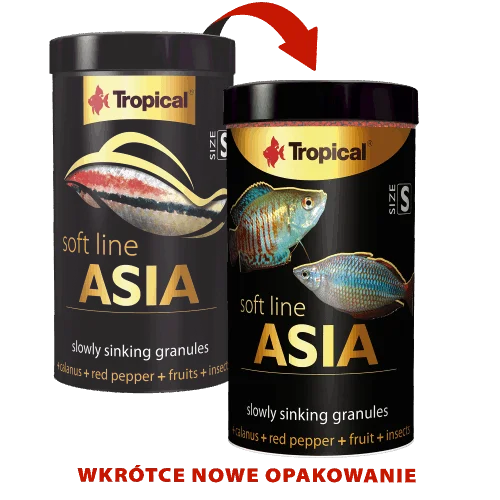 SOFT LINE ASIA SIZE S 100ML/50G