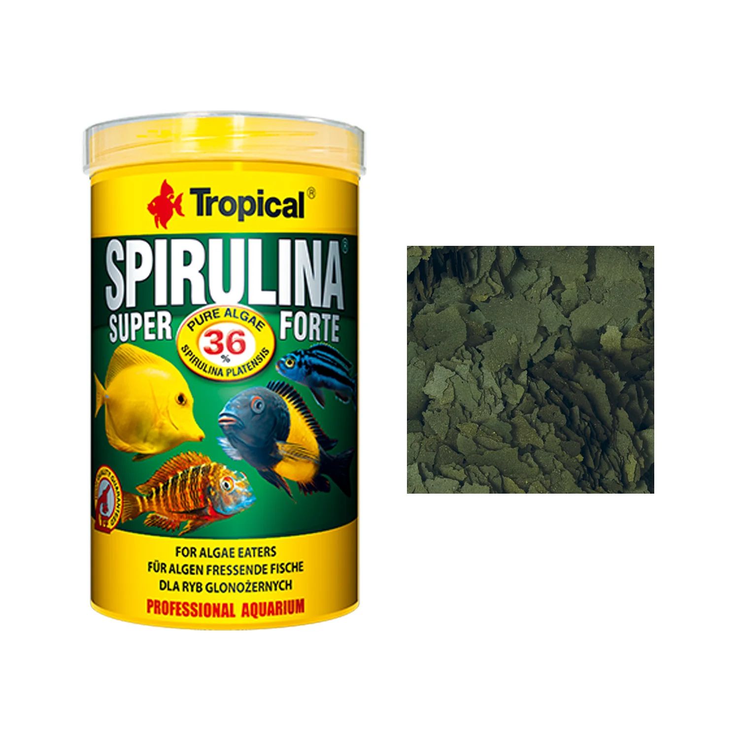 TROPICAL SUP SPIRULINA FORTE 36% 12 GR